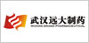 武漢遠(yuǎn)大制藥集團(tuán)有限公司